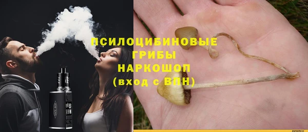 марки nbome Бородино