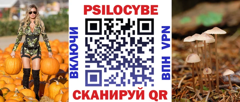 Псилоцибиновые грибы MAGIC MUSHROOMS  Купить где  Тарко-Сале 